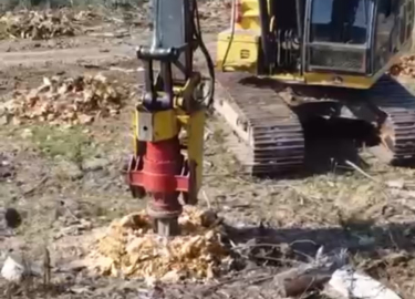 DESTOCA DE PINUS