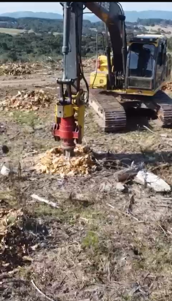 DESTOCA DE PINUS